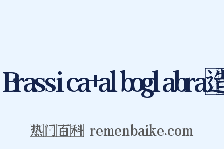 Brassica+alboglabra造句是什么意思的图片